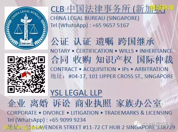 中國企業出海東南亞爲什麽要成立新加坡公司作爲控股公司