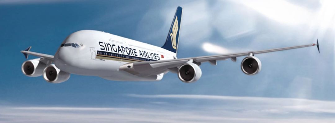 新航在行动：新加坡海外游子, 政府接你回家