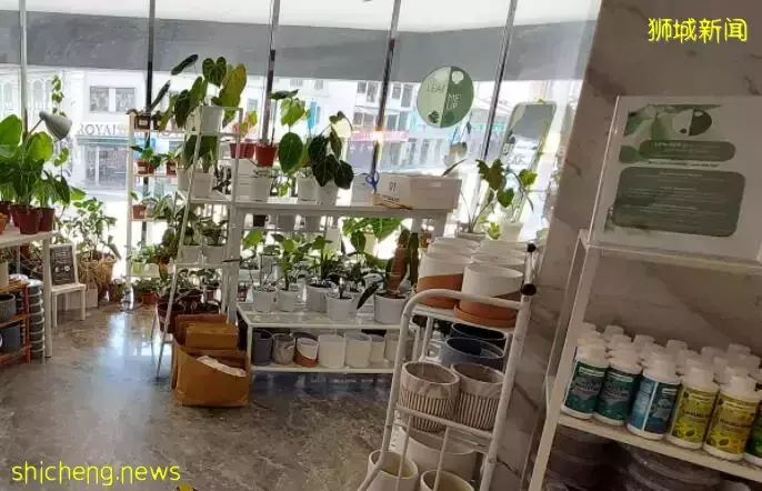 新加坡诞生首家“植物旅馆”?网友兴叹:赚钱的花样实在是太多啦