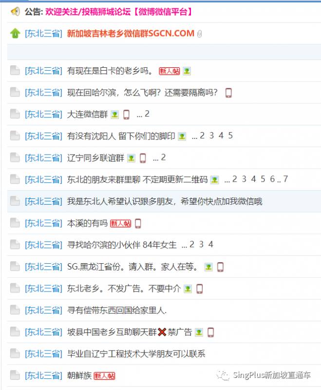 《新加坡最炫東北人圖鑒》