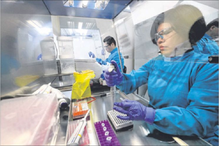 新加坡第二名康复出院患者，武汉女子感谢医护无私敬业精神