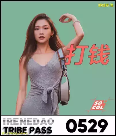 中国高颜值新移民成新加坡网红!个人照成交破750万新币