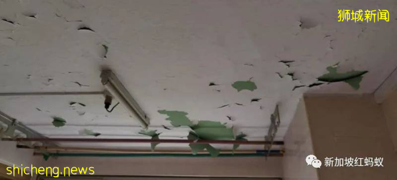 獅城患病母子住在破舊屋子　沒錢看醫生冰箱內全是黑色的東西!