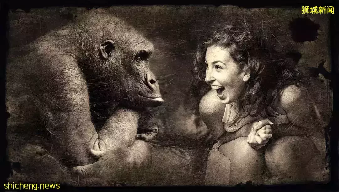 新加坡冷知識，帶你更加深入的了解這個國家