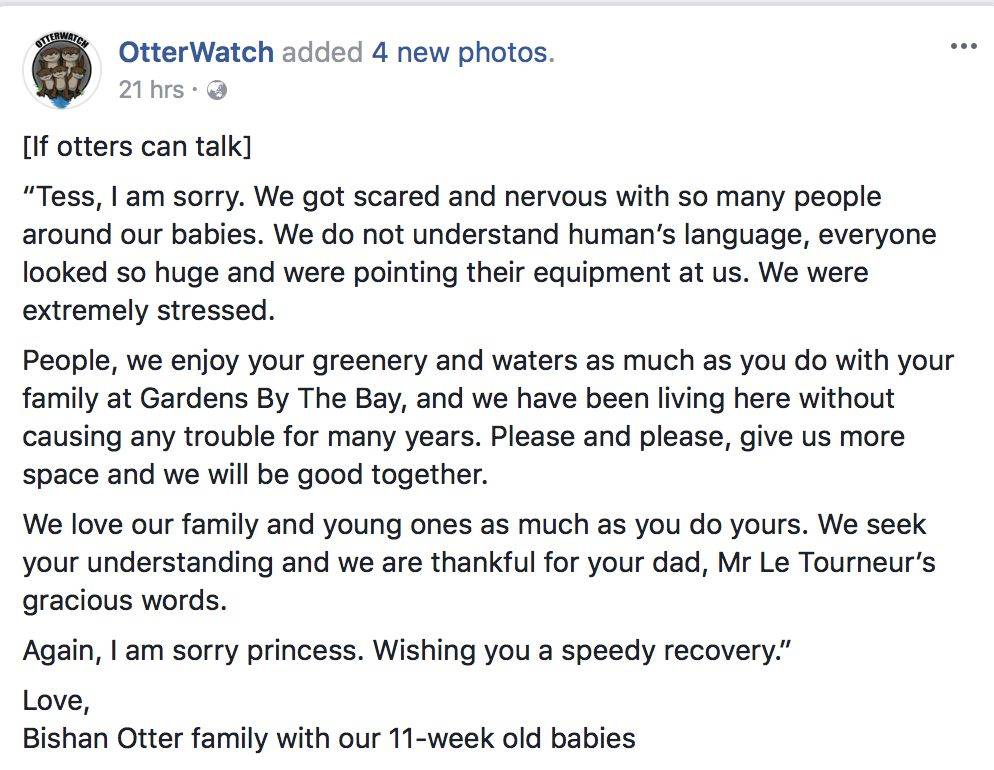 新加坡的野生动物也太不好惹了吧