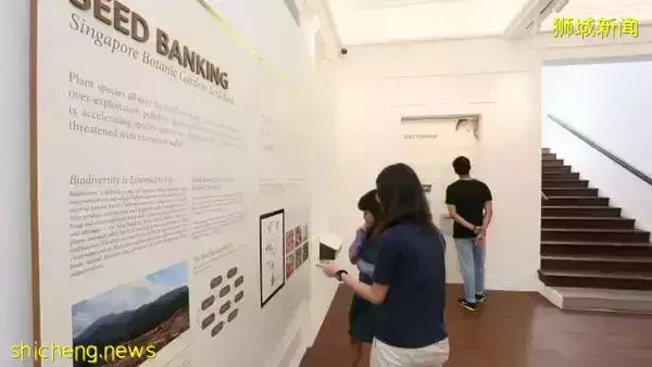 免費！新加坡排名第一的“家庭遊樂場”，竟然有這麽多項目我還沒玩過