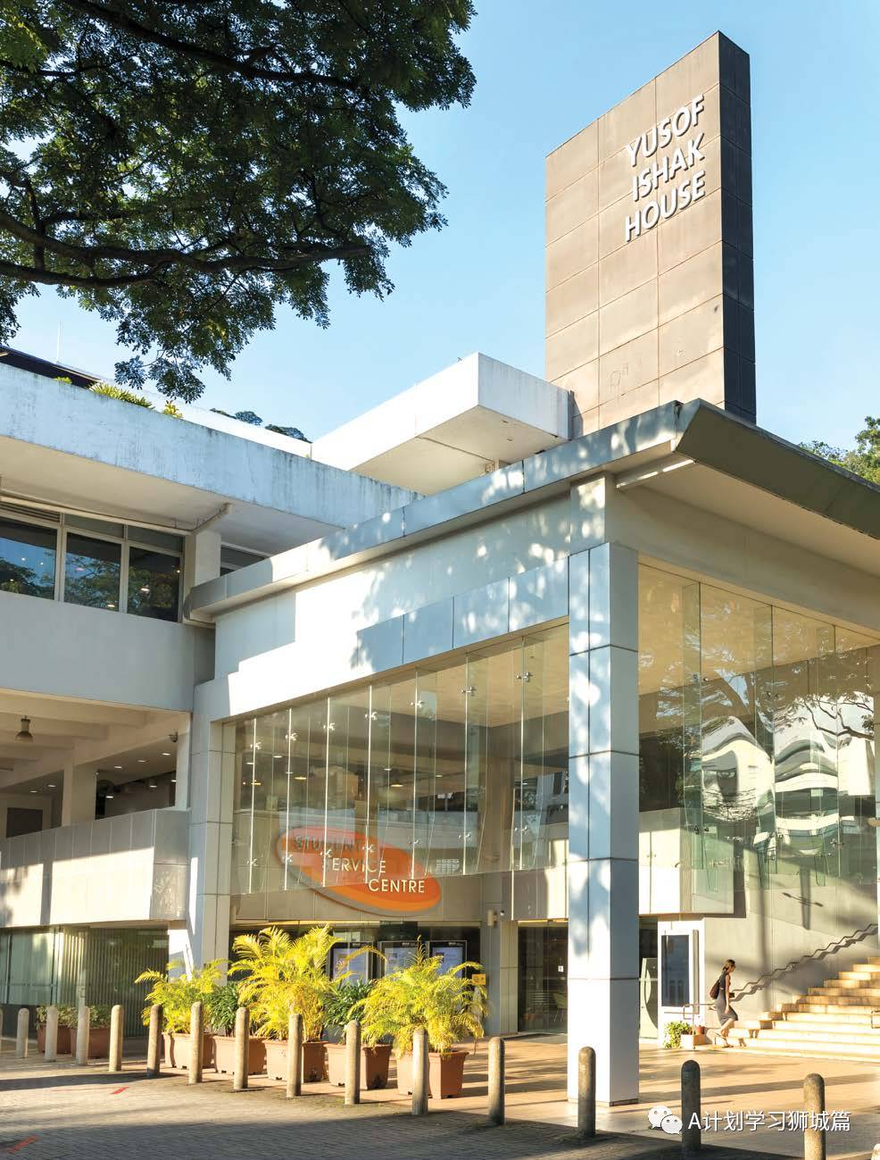 教育部最新公布：2020年新加坡國大、南大、新大及社科大畢業生就業率及薪金調查