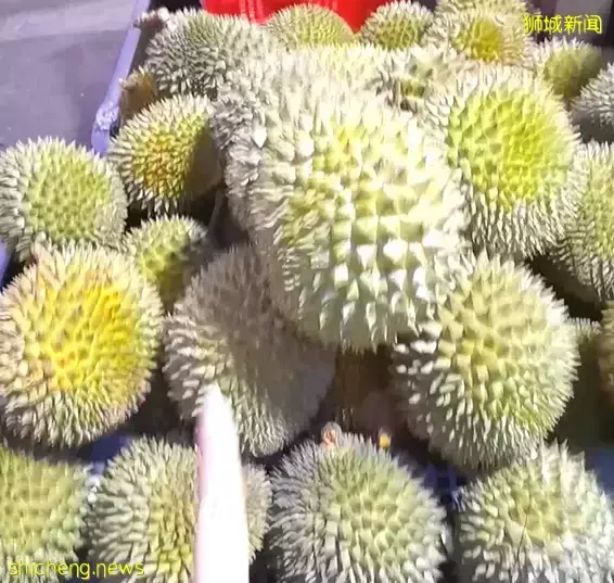 实拍实测！新加坡芽笼那些2元、5元的榴梿到底好吃吗