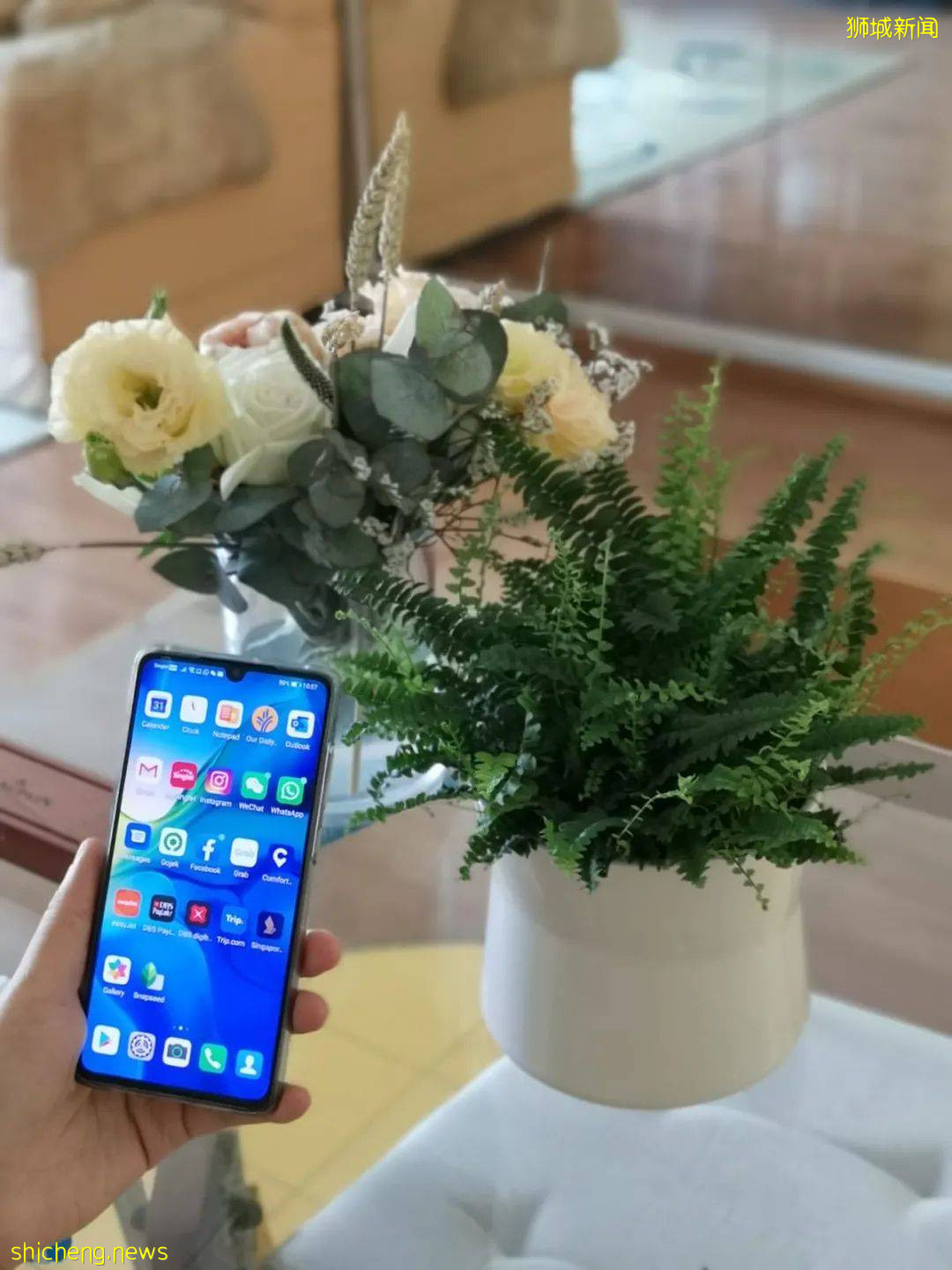 在新加坡做程序员,我一个女孩子该何去何从