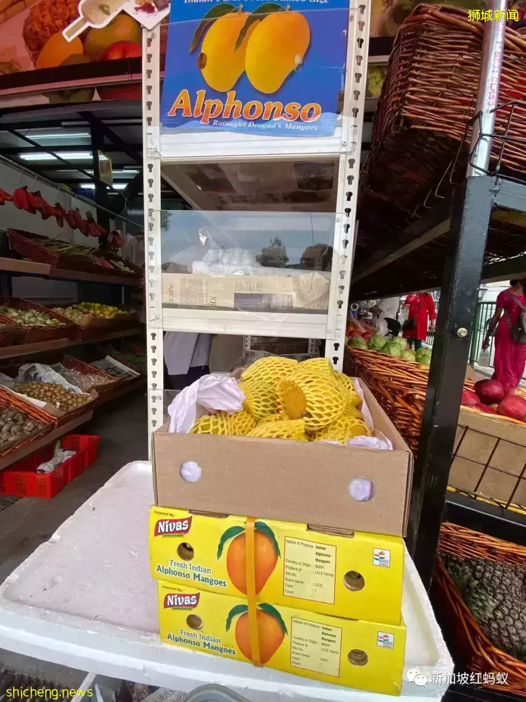 新加坡小印度獵奇:形形色色的人、食物和意外的風景