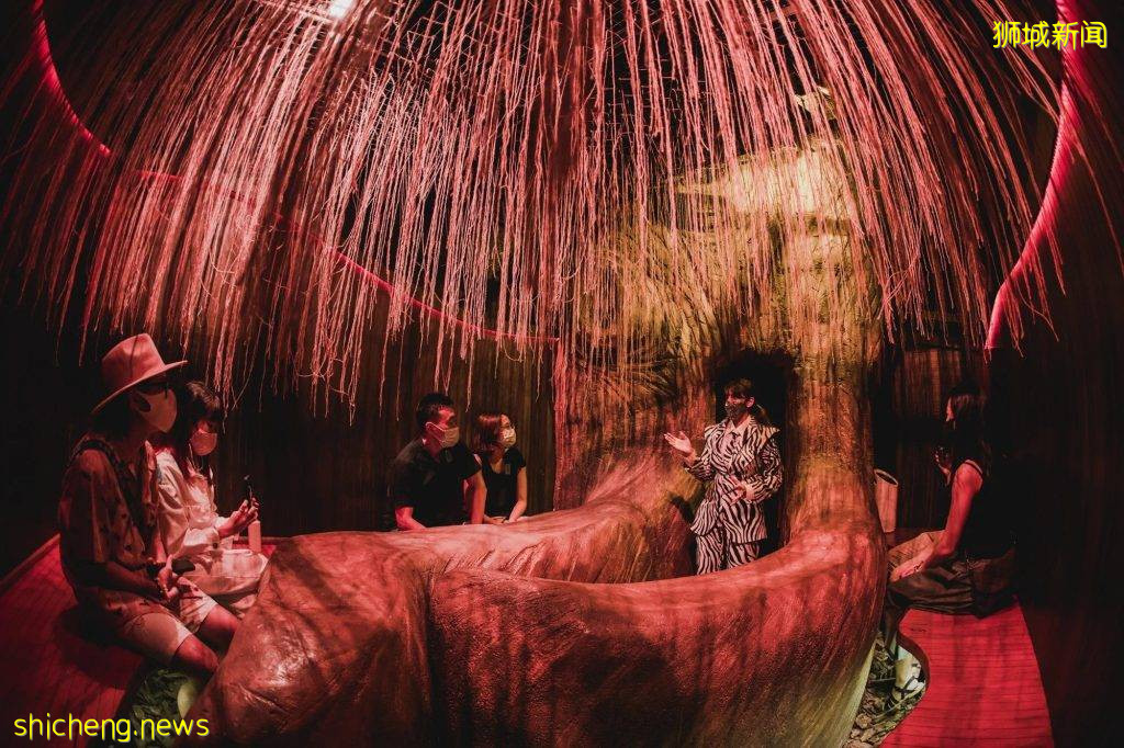 需要爬梯子钻洞、更换用餐环境的Omakase体验！就连餐馆地点，用餐前24小时才通知你🤭 