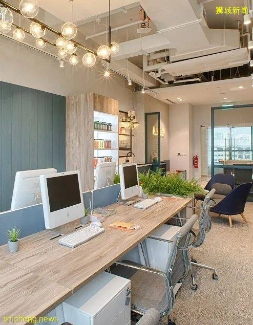 工業園“變身”創新農業園，這個10年戰略藏著新加坡的發展新機遇