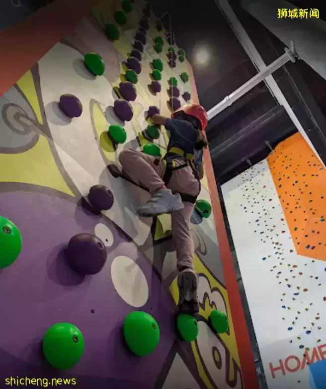 50万人疯狂打call!新加坡最大冒险游乐场,太!过!瘾!了