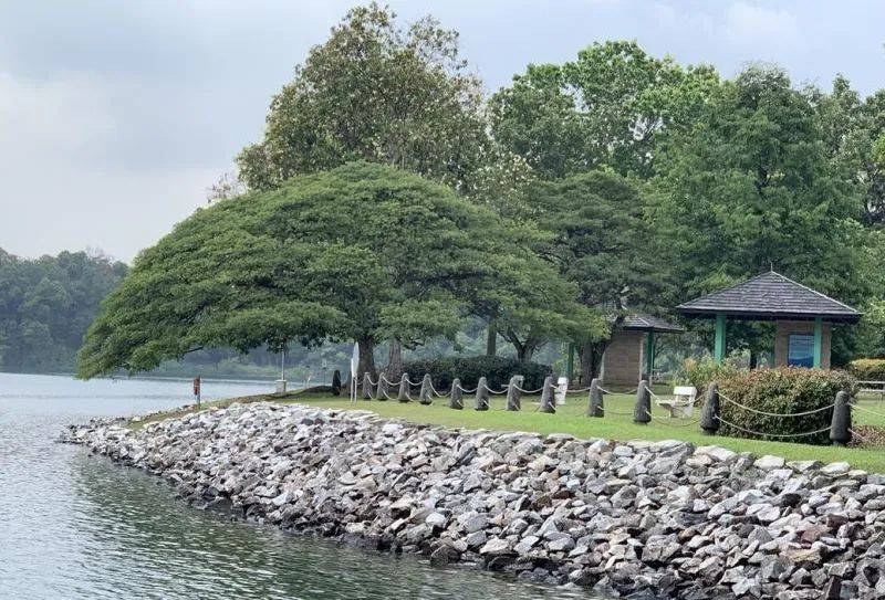 新加坡雖小，風景卻不少，這些自然公園你聽過嗎