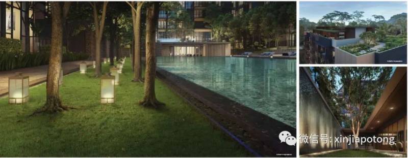 新加坡這個世界第一,不得不服