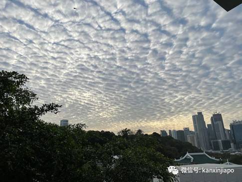 “地震雲”昨早刷爆朋友圈！很少看過這麽“怪異”的朝陽