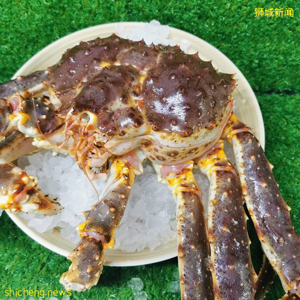 最全整理!新加坡9家订海鲜网站,甜虾、生蚝、海胆、日本扇贝