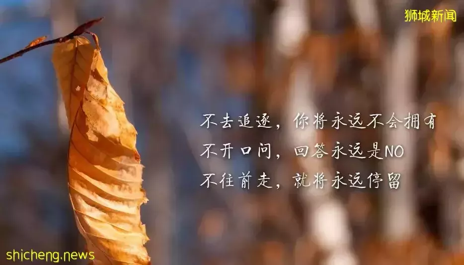 新加坡身价过亿医生不幸患癌离世,妻子:为他留给我的遗产感到骄傲