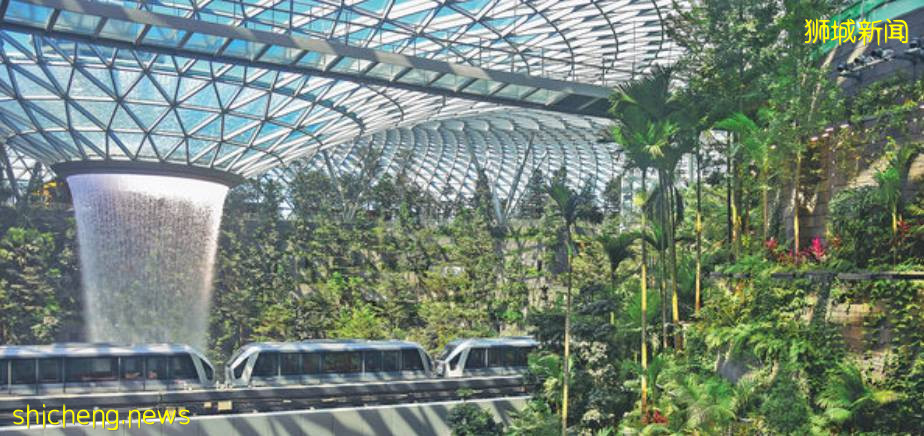 新加坡：PR有什么福利