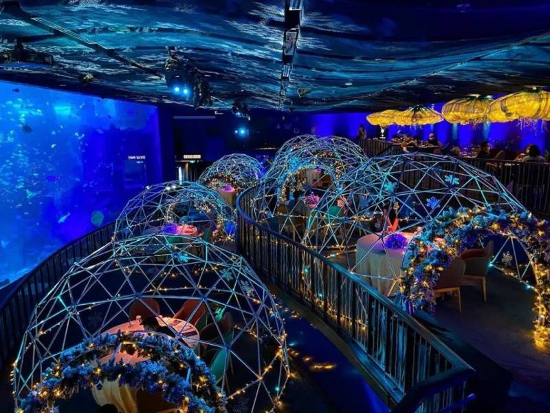 【每周折扣】Last Call！新加坡黑五終極攻略請查收