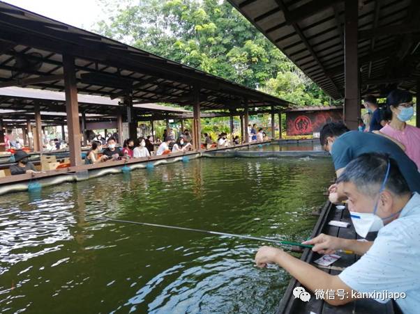 这五个关于新加坡的谜语,让大家来猜一猜