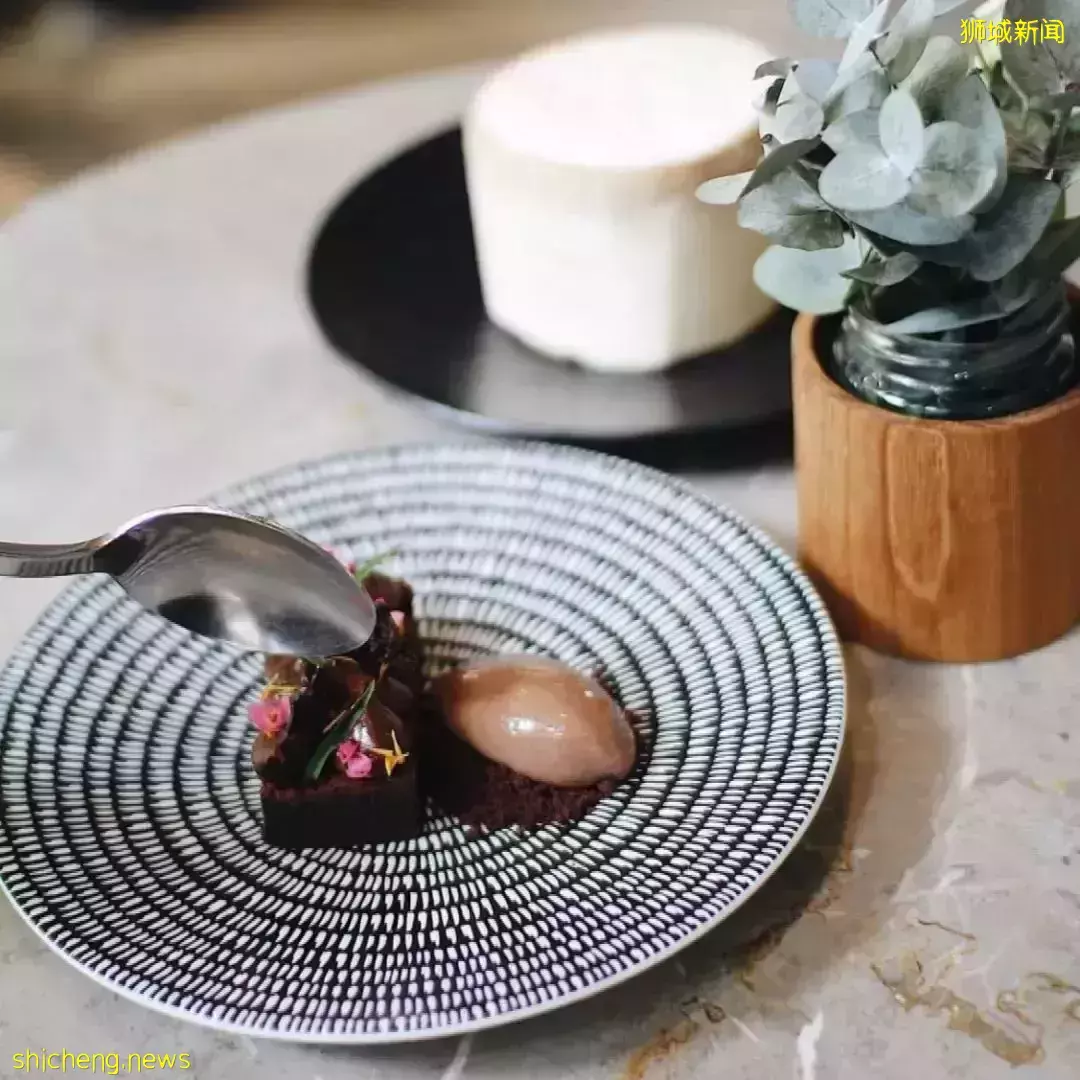 植物園開啓“聖誕遊園之旅”，還有這幾家高顔值餐廳等你來打卡