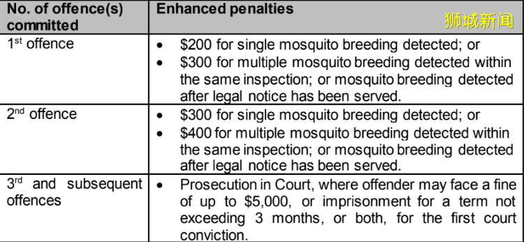 登革热爆发7月15日起，家庭发现多个蚊子繁殖地将加重处罚