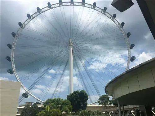 國內幼兒園不得教授小學內容和組織考試!而新加坡幼兒園是如何實現“快樂教育”的