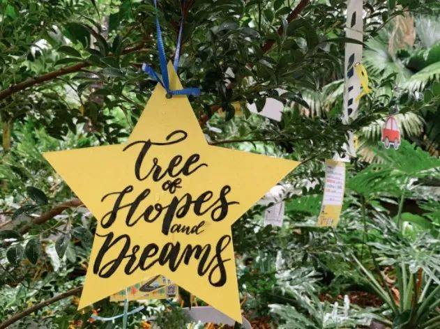 【周末去哪玩】聖誕仙境，植物園世界之樹，聖淘沙海灘HelloKitty，閃耀星光燈光秀，等等等等