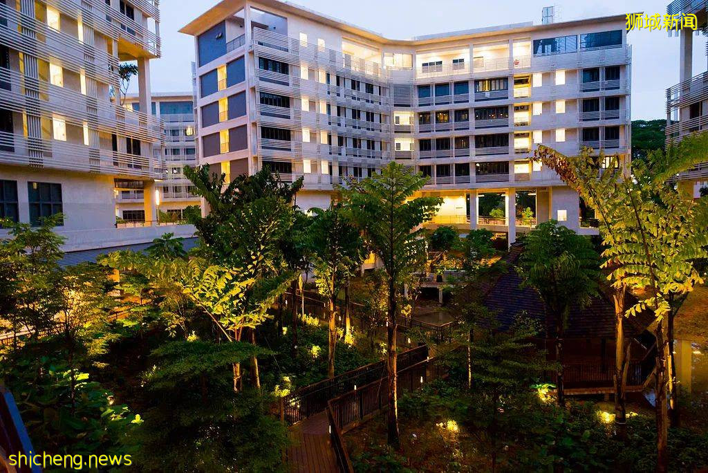 响应新加坡防疫限制放宽,南大发布最新学校安排,允许5人小组活动