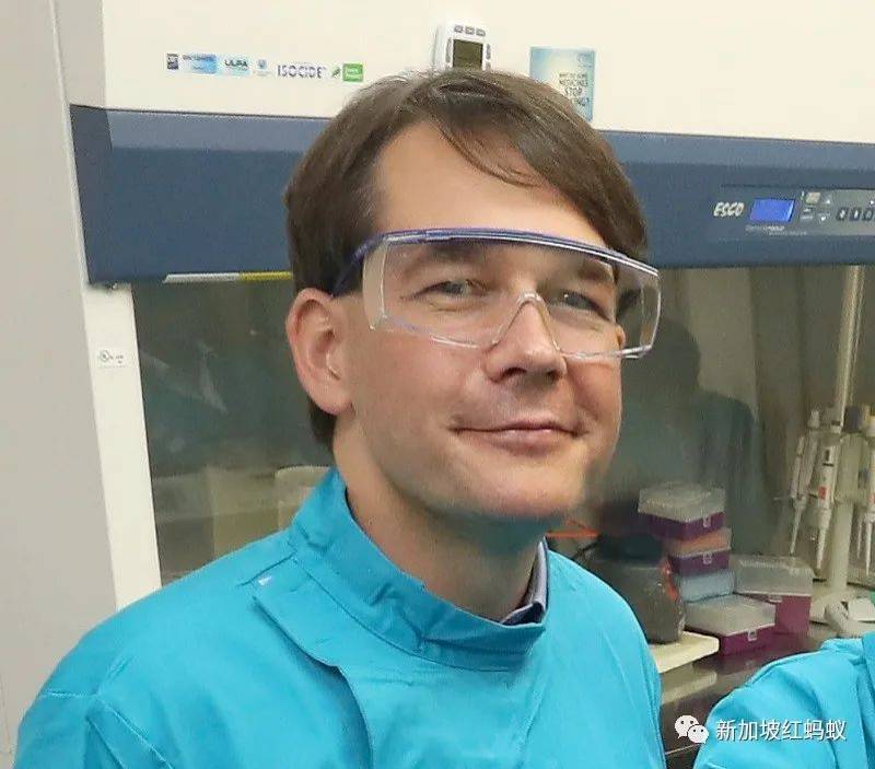 新加坡疫情的擴散，原來是這五個冠狀病毒分化支在“搞鬼”