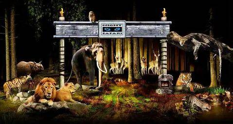 玩轉新加坡!八個必去的旅遊景點