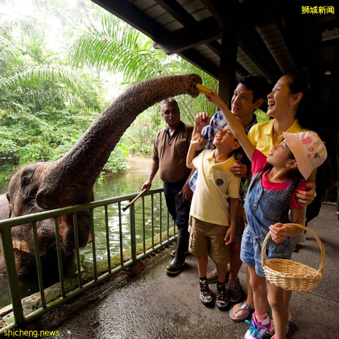 狮城游乐场,遛娃没烦恼