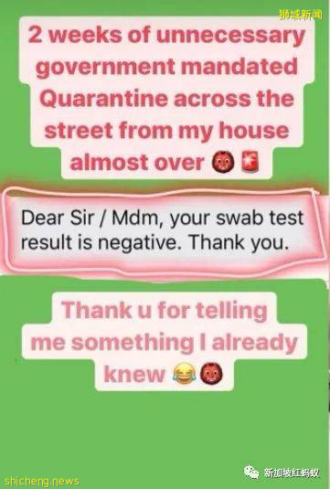 旅居新加坡網紅Nas Daily的女友疫情期間出國 回新後不滿要住酒店隔離