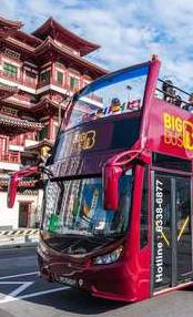 新加坡出行方式大汇总!初来新加坡的你赶紧抄作业