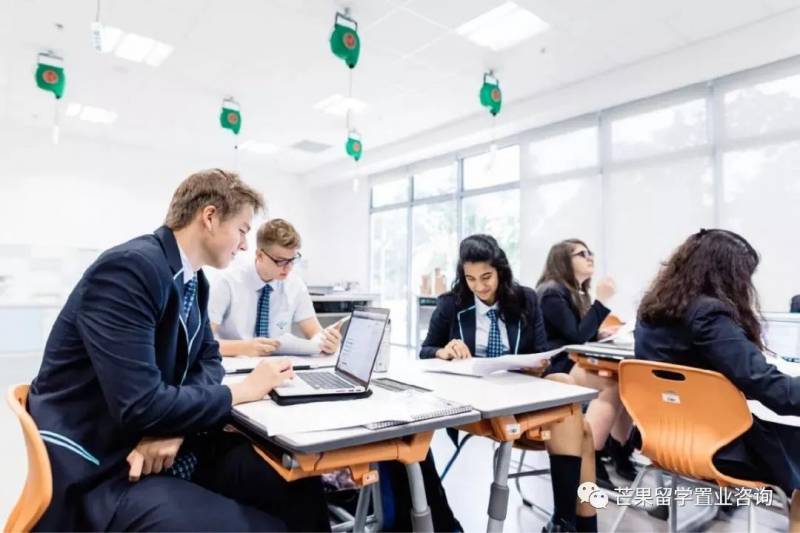 新加坡頂級國際學校彙總
