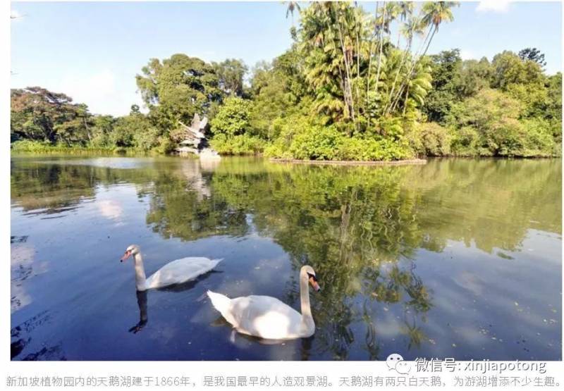 疫情後，新加坡又多了這些億萬富豪！有幾個中國來的