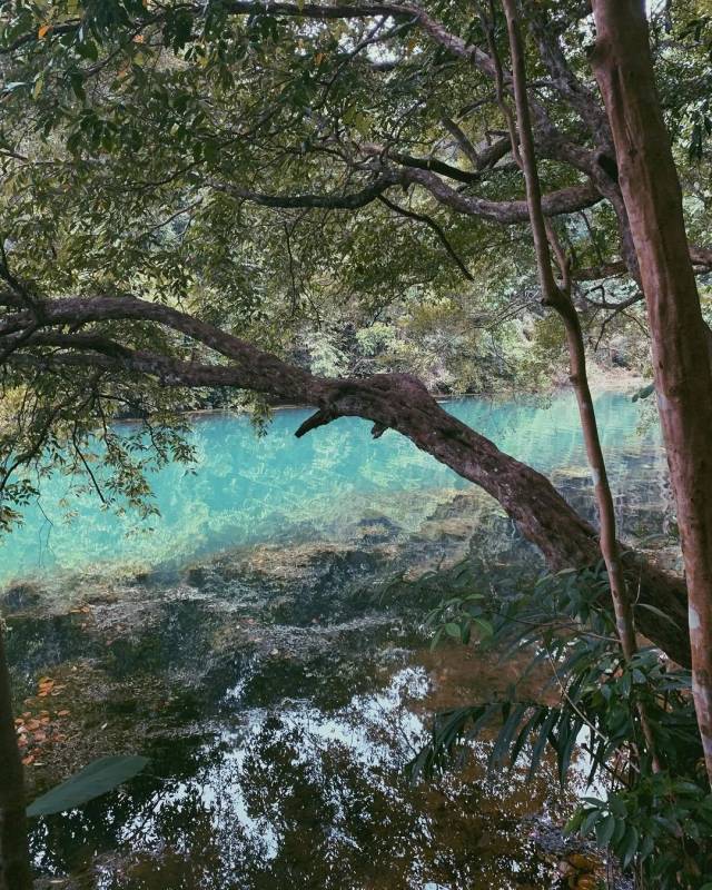 Upper Thomson精選小衆Cafe,工作日放松、周末打發時間好選擇