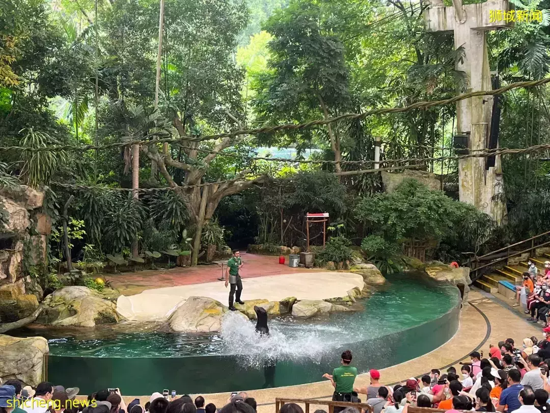 實拍周日的新加坡:商場、景點、食閣到處是人!又一波放寬政策來了