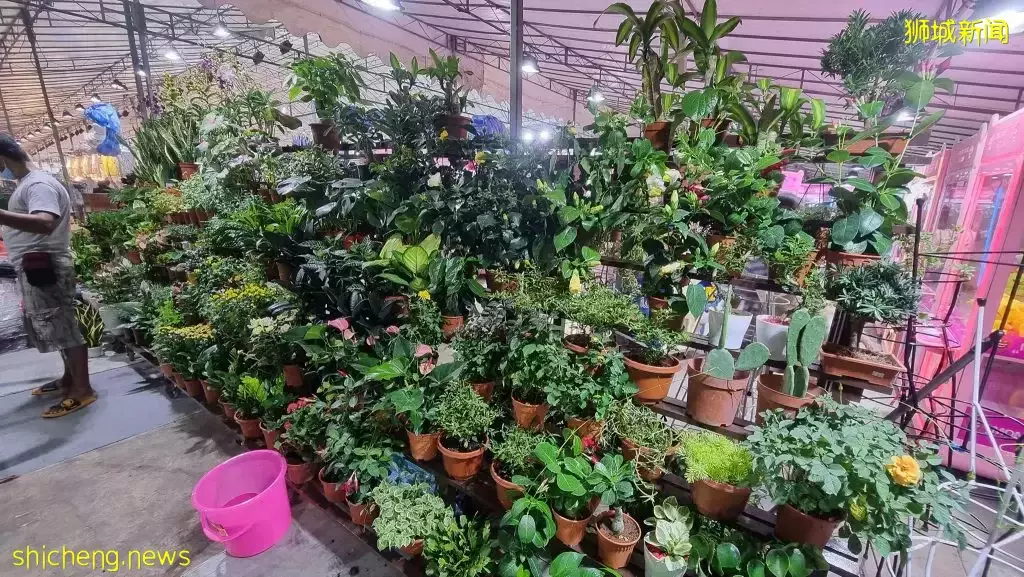 兀兰夜市正式开跑!生活日用品+抓娃娃机一应俱全,超多美食摊位等你来逛!就在MRT外面📌