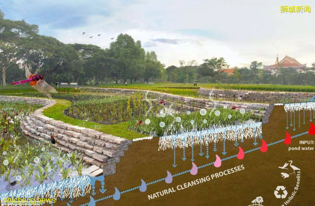 新加坡頂級設計，都在這裏