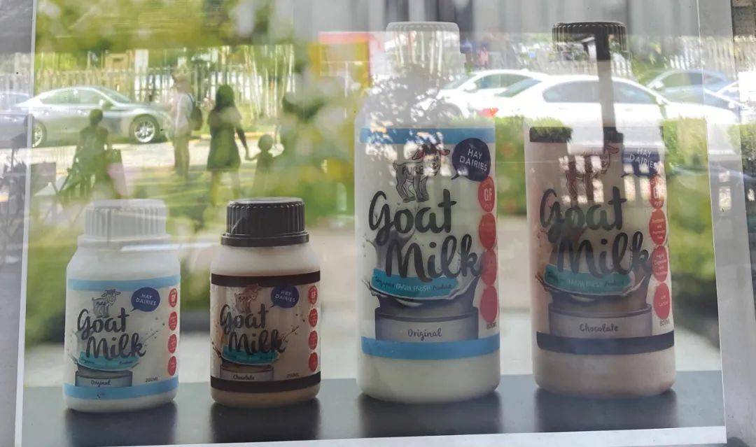 餵羊、擠奶、了解青蛙生長過程,新加坡的農場這麽牛