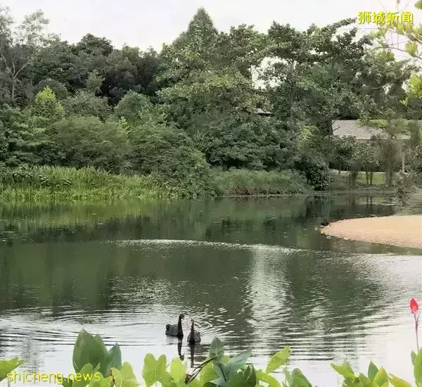 免費！新加坡排名第一的“家庭遊樂場”，竟然有這麽多項目我還沒玩過