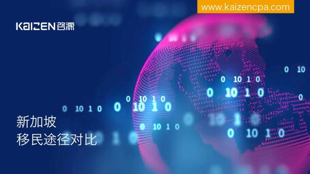 新加坡移民途径对比