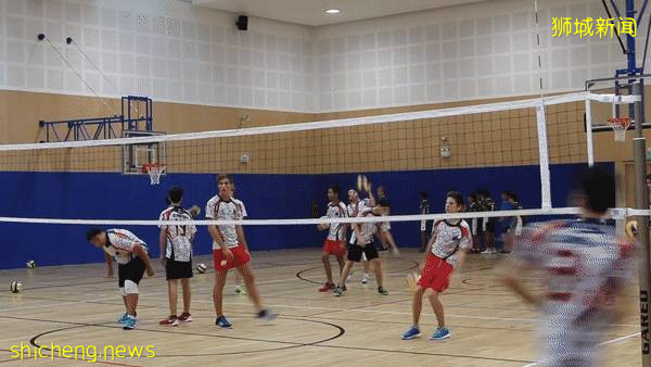 超人氣明星國際學校 新加坡史丹福美國國際學校，到底魅力在哪