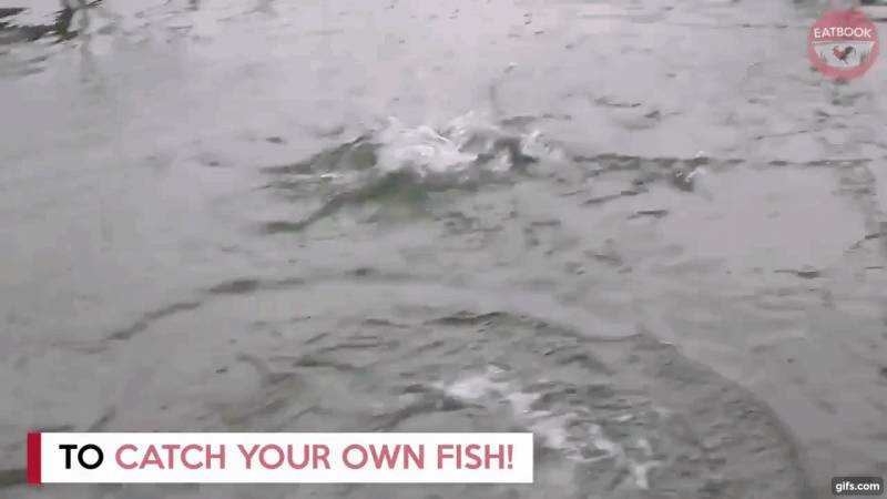 去吃新加坡最新鲜的海鲜!出海到海上奎笼吃海鲜!现捞现吃超美味