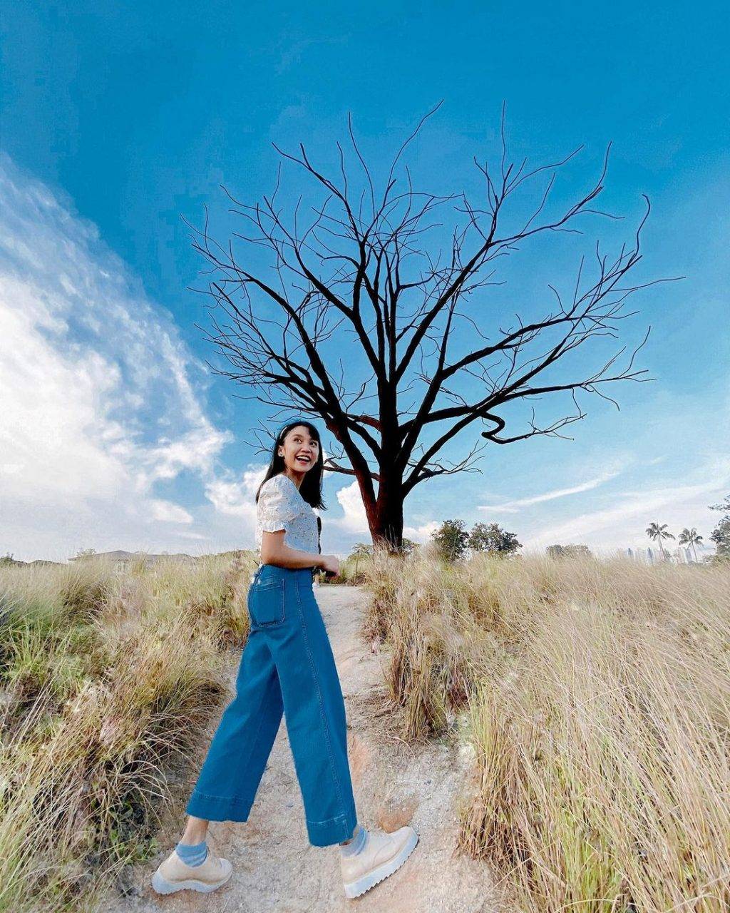 發現這一抹綠💚解鎖新加坡森林系打卡點🌳青翠蔥郁、空靈意境，仙氣爆棚一秒出片⚡