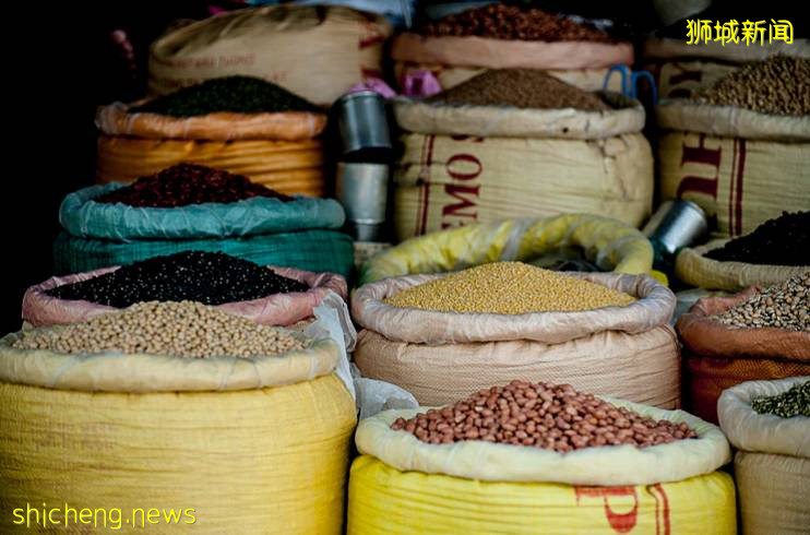 5%或10%超低稅率,GTP如何幫您的貿易實現在新加坡的戰略布局