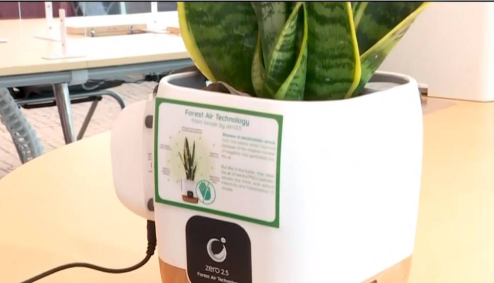 疫情下新加坡最大“国企”再出手，一块“玻璃”或赚个底朝天