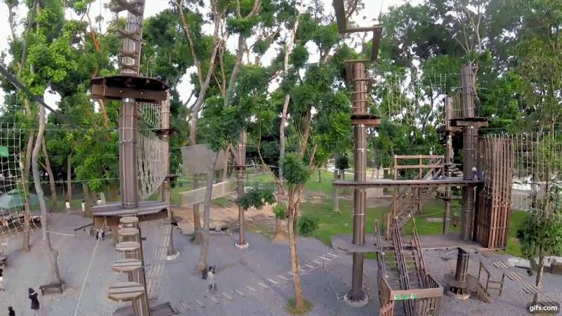 驚險刺激！挑戰人猿泰山一樣的飛躍、水面滑索等超好玩項目！就在Bedok蓄水池Forest Adventure